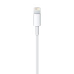 Apple Lightning na USB Cable (1m)